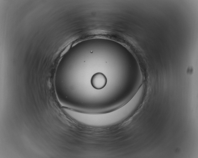 X0000112491209200908241318