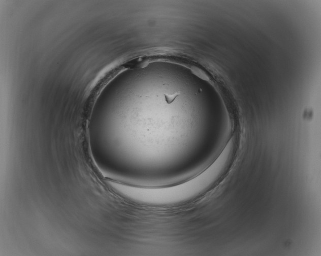 X0000112491210200908241318