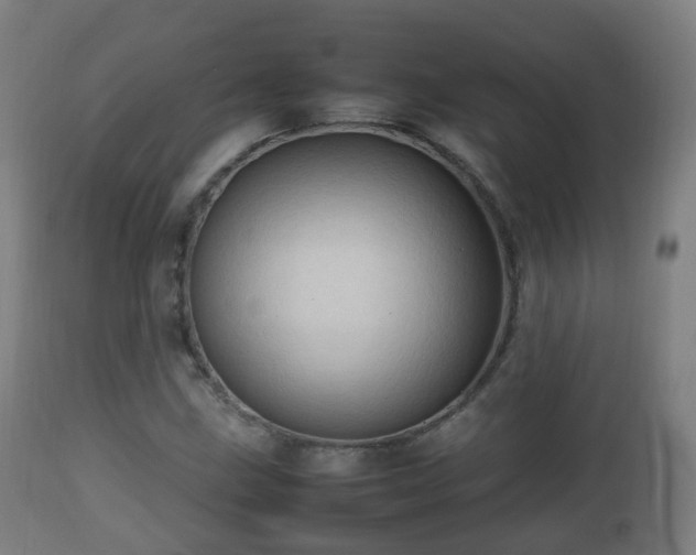 X0000112491211200908241318