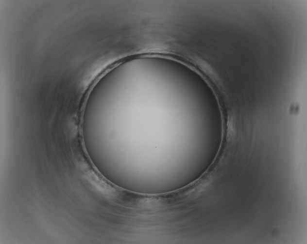 X0000112491212200908241318