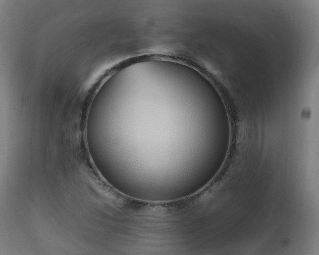 X0000112491214200908241318