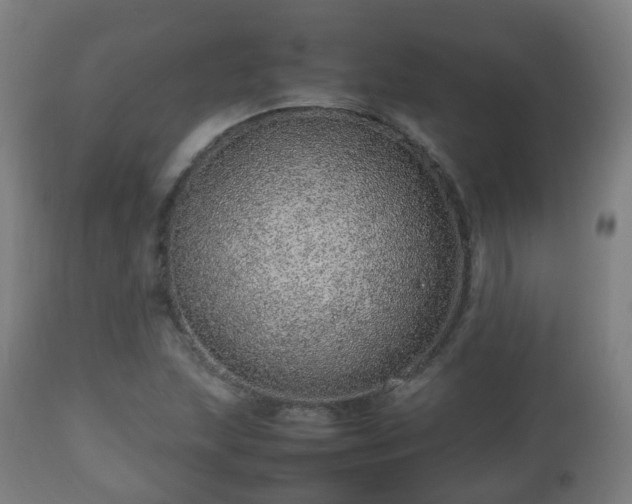 X0000112491215200908241318