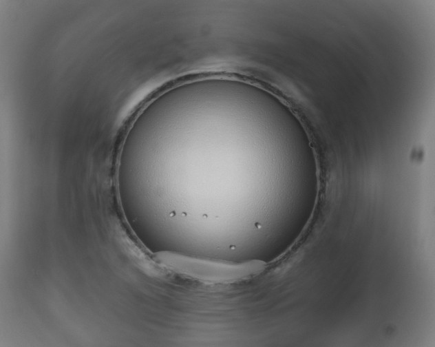 X0000112491216200908241318