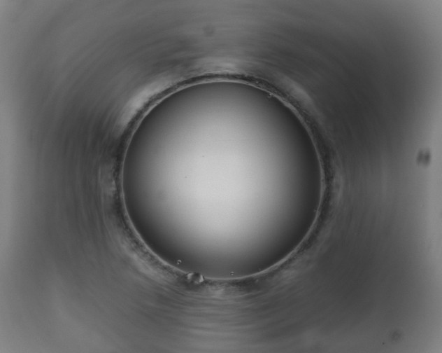 X0000112491218200908241318