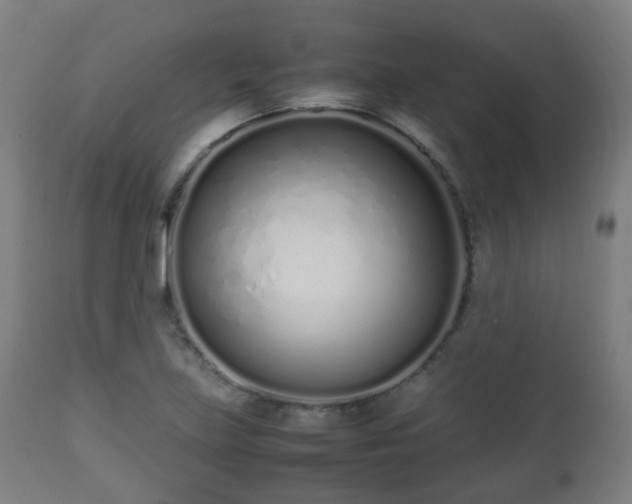 X0000112491219200908241318