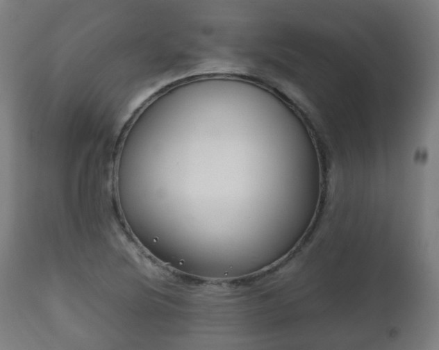 X0000112491220200908241318