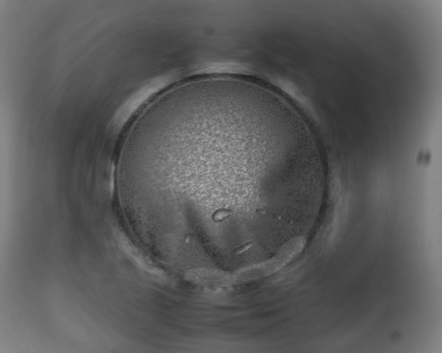 X0000112491221200908241318