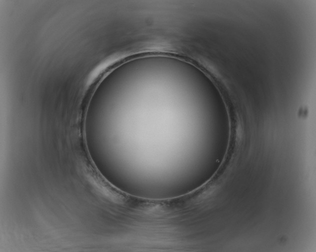 X0000112491222200908241318