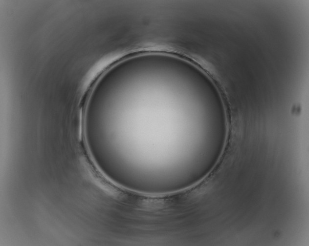 X0000112491223200908241318