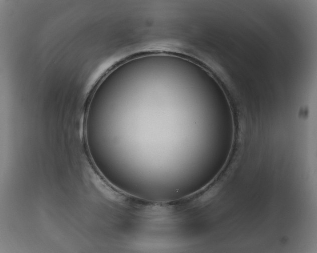 X0000112491224200908241318