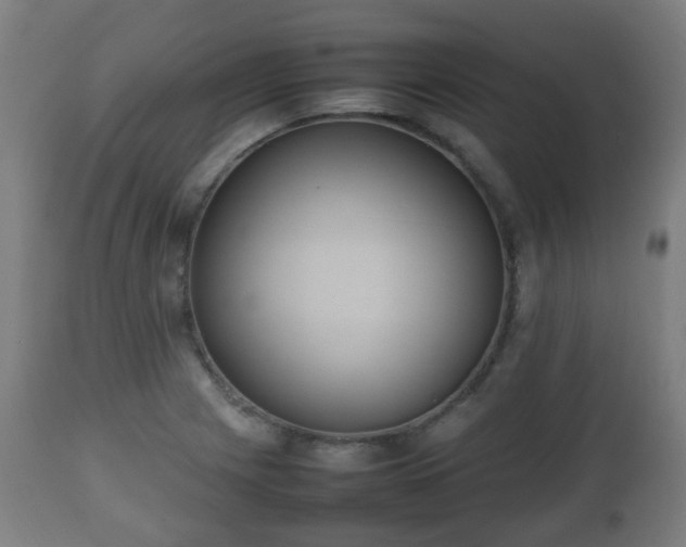 X0000112491225200908241318