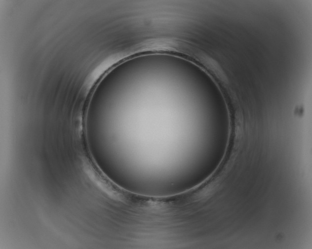 X0000112491226200908241318