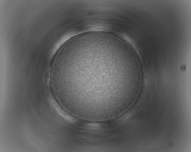 X0000112491227200908241318