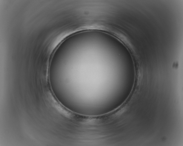 X0000112491228200908241318