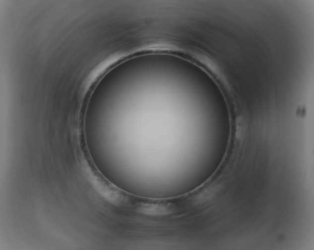 X0000112491229200908241318