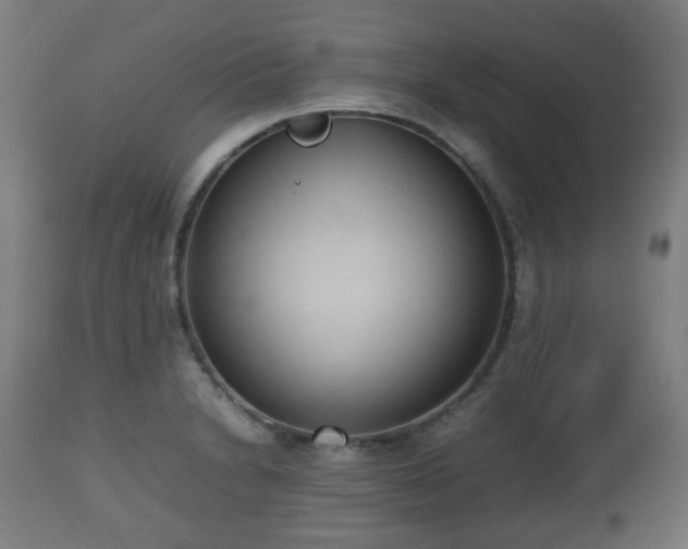 X0000112491230200908241318