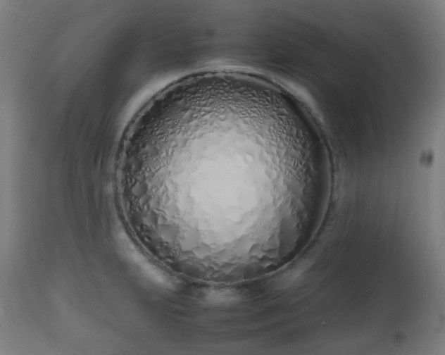 X0000112491231200908241318