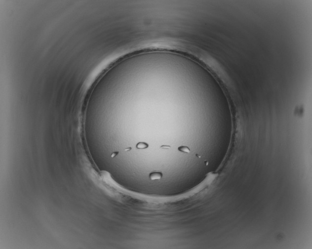 X0000112491232200908241318