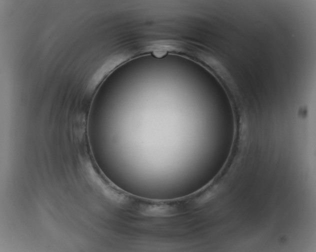 X0000112491233200908241318