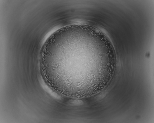 X0000112491235200908241318