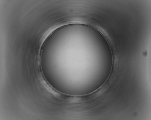 X0000112491236200908241318