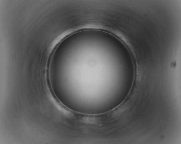 X0000112491237200908241318