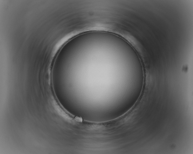 X0000112491238200908241318