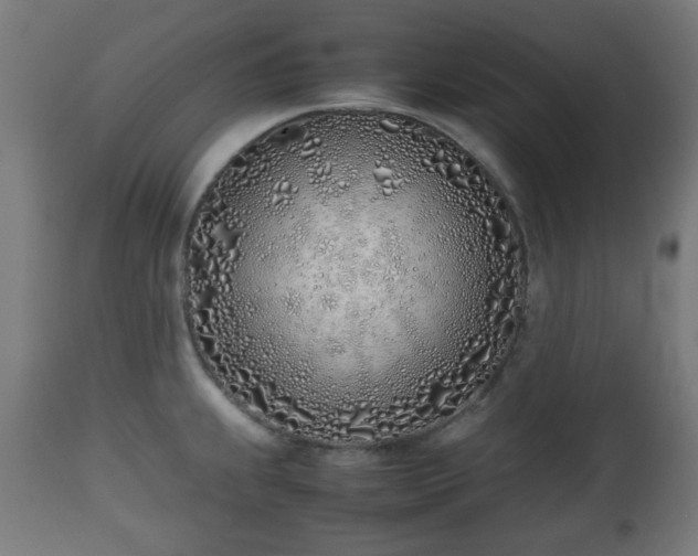 X0000112491239200908241318