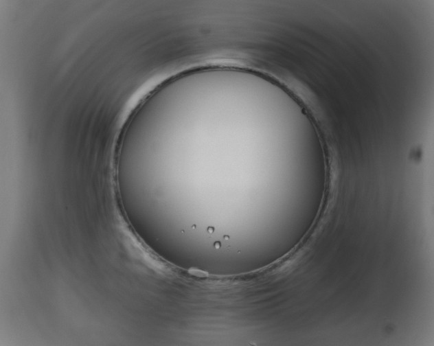 X0000112491240200908241318