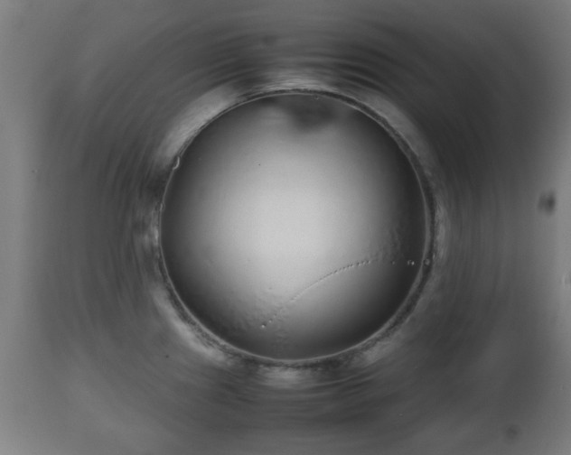 X0000112491241200908241318