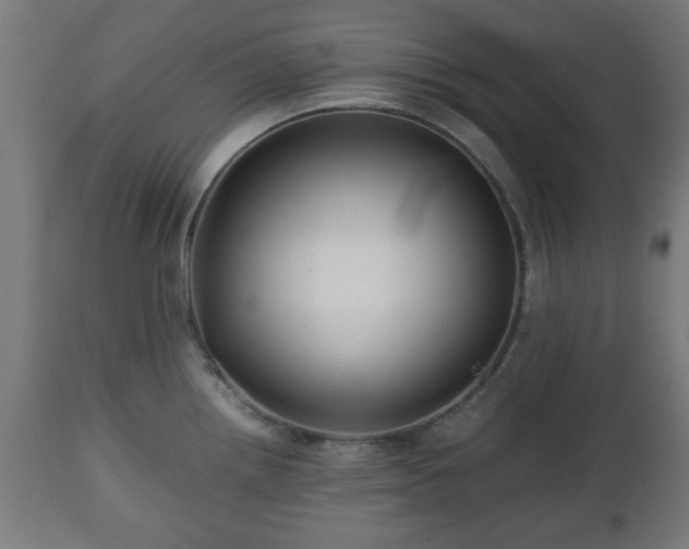 X0000112491242200908241318