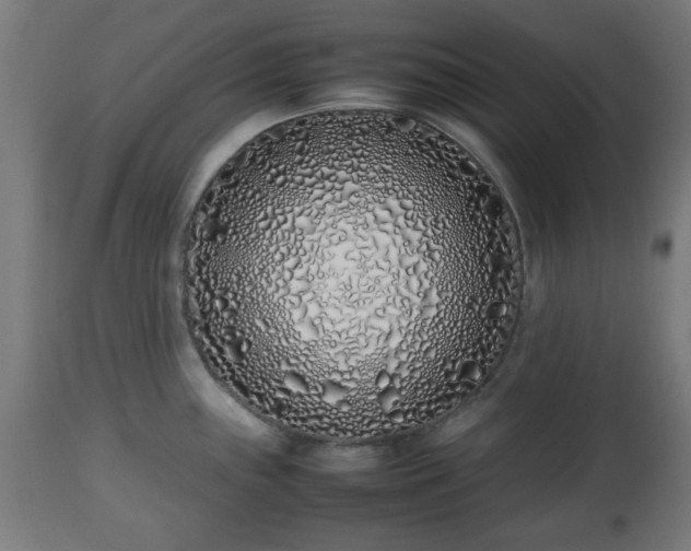 X0000112491243200908241318