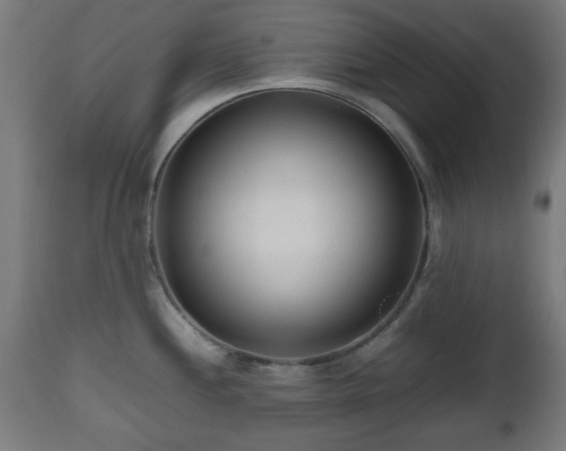 X0000112491244200908241318