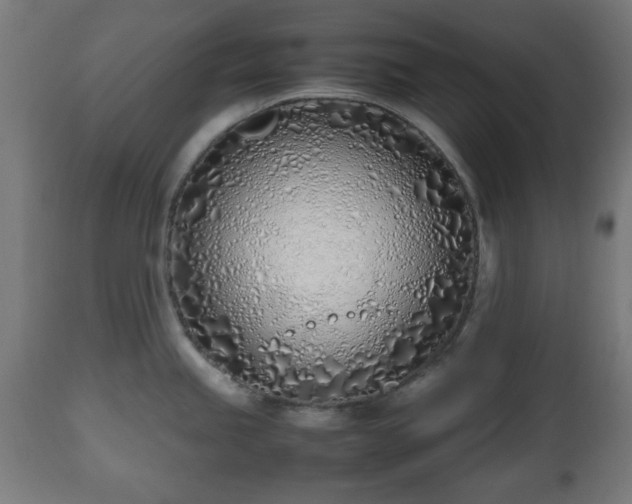 X0000112491245200908241318