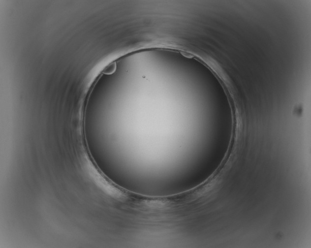 X0000112491246200908241318