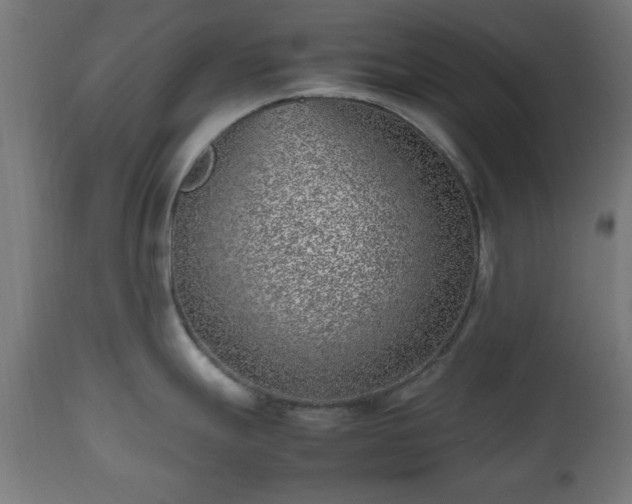 X0000112491247200908241318