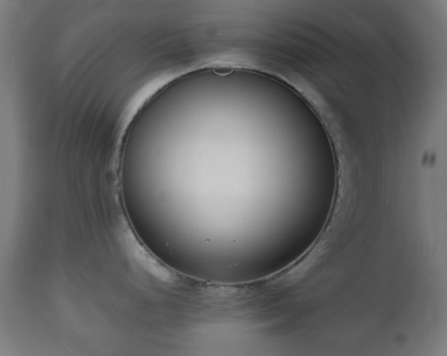 X0000112491248200908241318