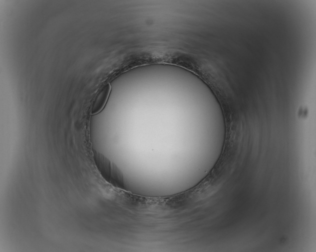 X0000112491249200908241317