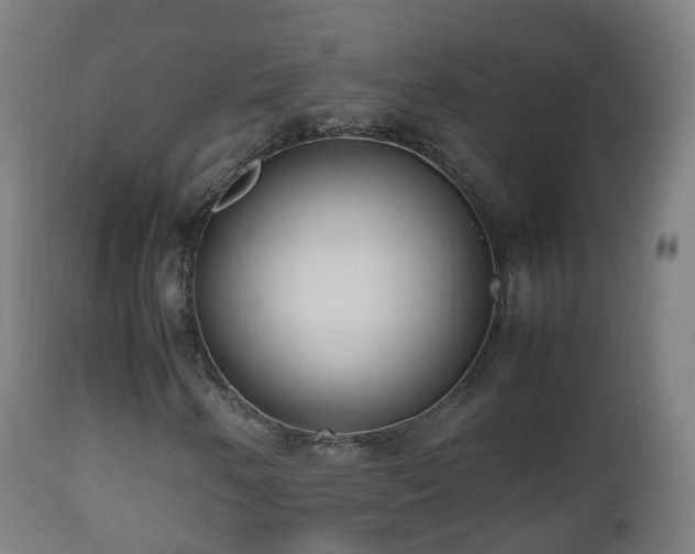 X0000112491250200908241317