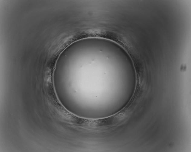 X0000112491251200908241317