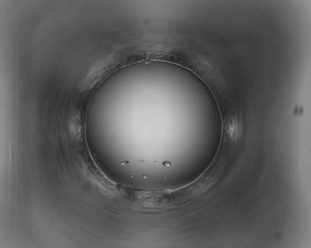 X0000112491252200908241317