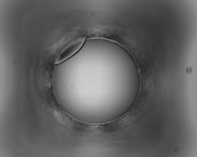 X0000112491253200908241317