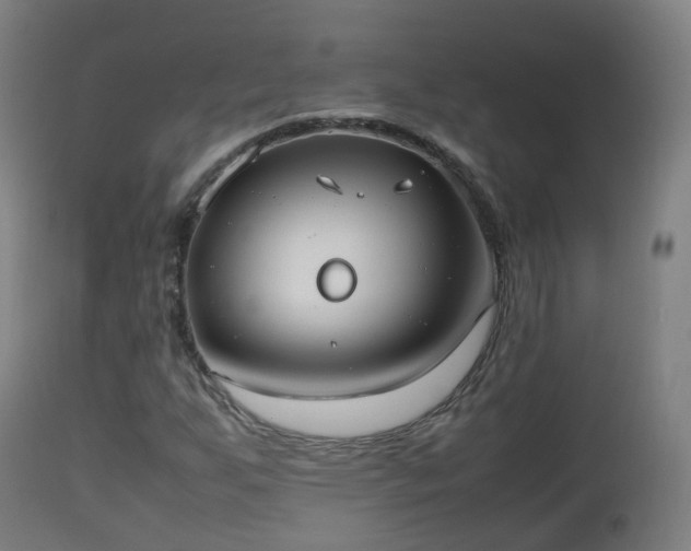 X0000112491255200908241317