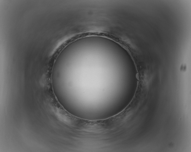 X0000112491256200908241317