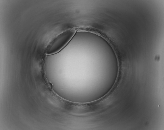 X0000112491257200908241317