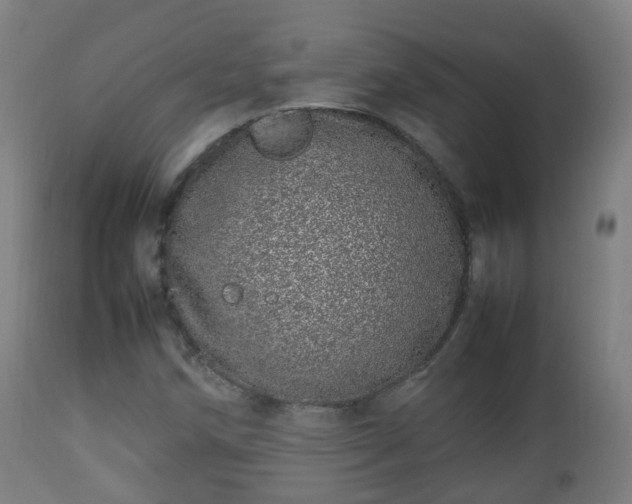 X0000112491258200908241317