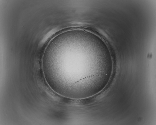 X0000112491259200908241317