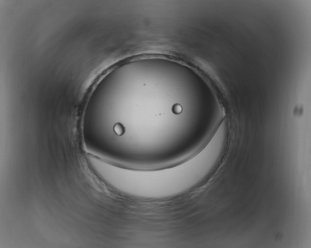 X0000112491260200908241317