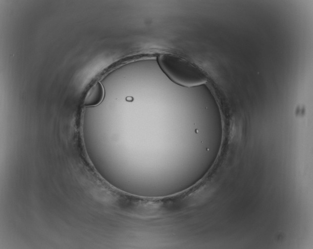 X0000112491261200908241317