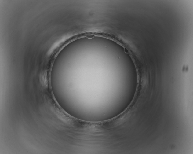 X0000112491262200908241317